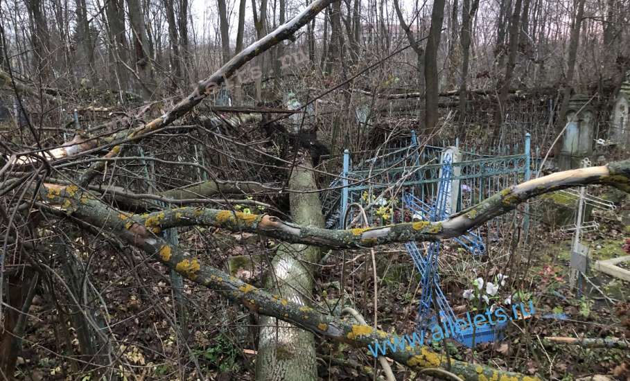 В Ельце новое ЧП! Дерево вырвало с корнем на кладбище, проход перегорожен!
