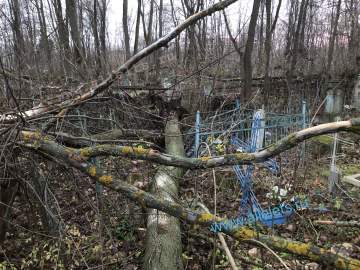 В Ельце новое ЧП! Дерево вырвало с корнем на кладбище, проход перегорожен!