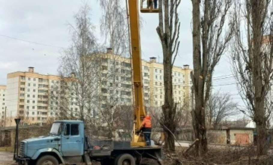 Елец благоустраивают! Знаки устанавливают, сучья летят!