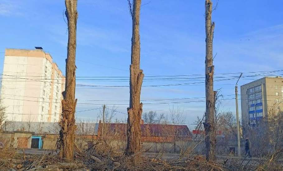 Глава города Ельца слышит граждан и решает проблемы!