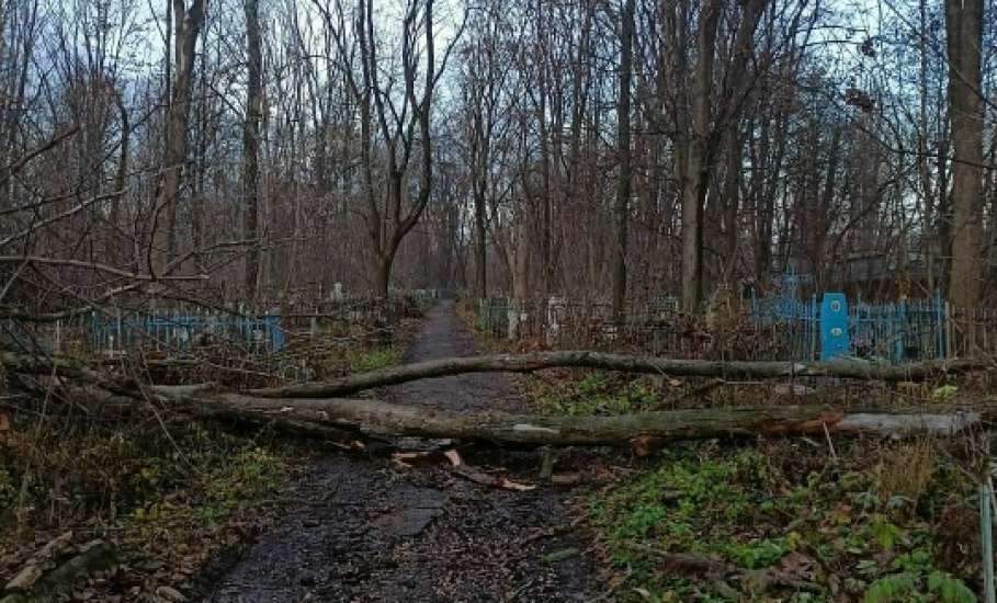 Глава города Ельца слышит граждан и решает проблемы!