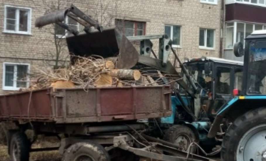 В Засосне сегодня спилили тополь