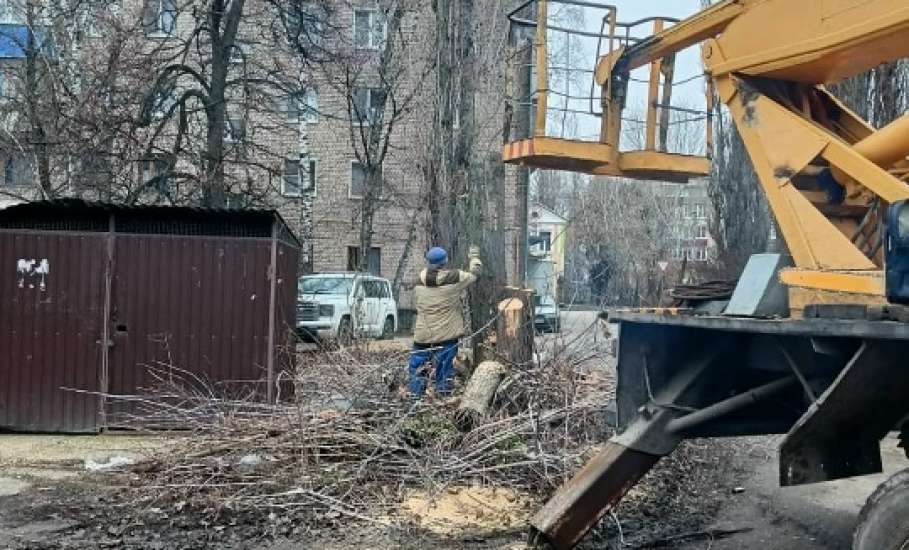 В Засосне сегодня спилили тополь