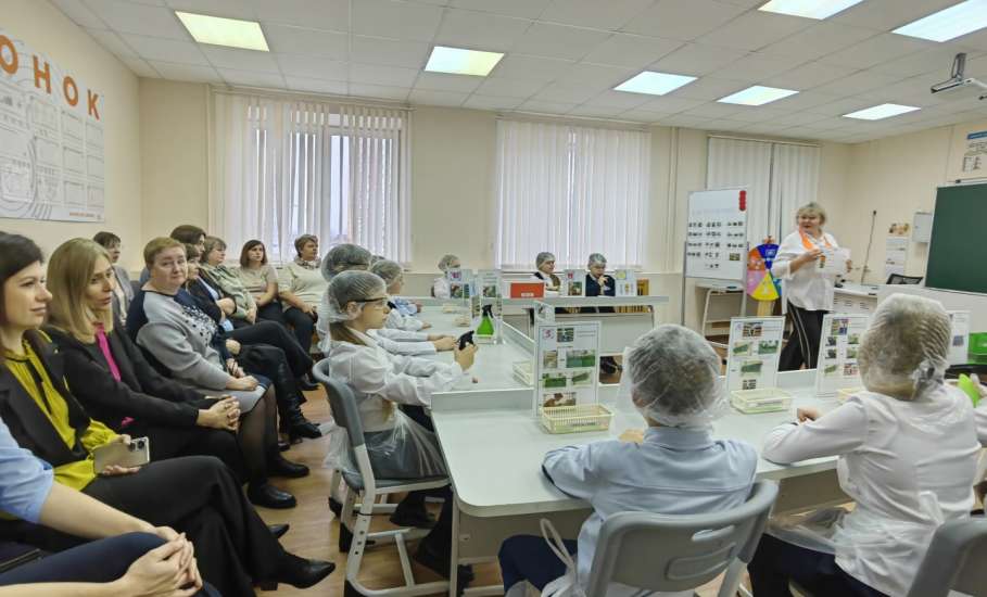 Представителей муниципальных образовательных организаций города Ельца обучали в Липецке бережливым технологиям
