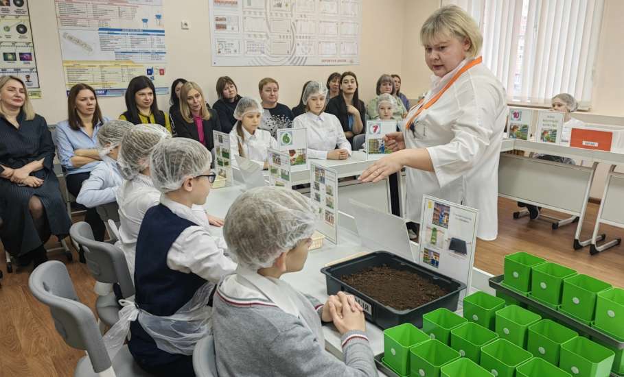 Представителей муниципальных образовательных организаций города Ельца обучали в Липецке бережливым технологиям