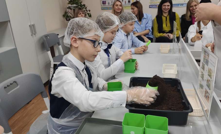 Представителей муниципальных образовательных организаций города Ельца обучали в Липецке бережливым технологиям