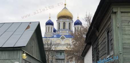 Шок! Пять человек потеряли сознание в частном доме Ельца!