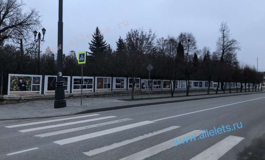 Рекламные и иные баннеры на старинных оградах в Ельце портят вид города и установлены незаконно!