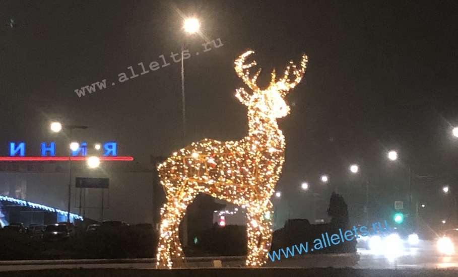 В Елец привезли оленя!