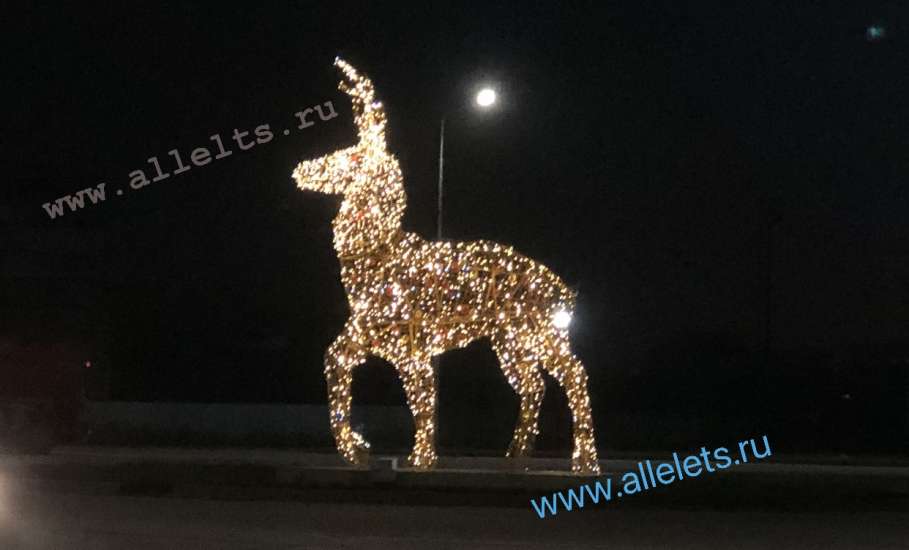 В Елец привезли оленя!