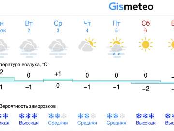 Прогноз погоды в Ельце на эту неделю. С первым днём зимы!