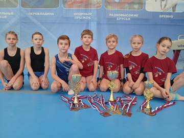 С 25 по 28 ноября в городе Ступино Московской области прошли ежегодные межрегиональные соревнования по спортивной гимнастике "Только в доскок"