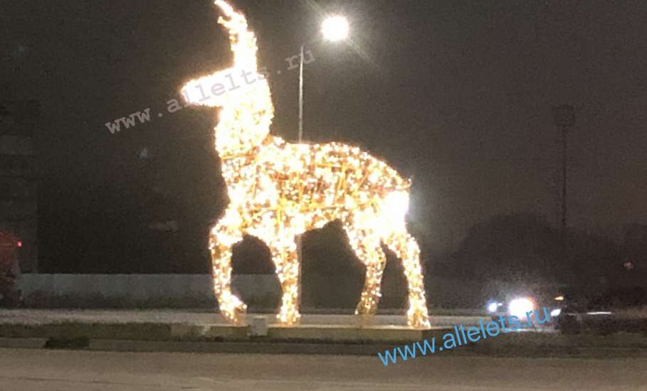Олени, олени, кругом одни олени… В Ельце!
