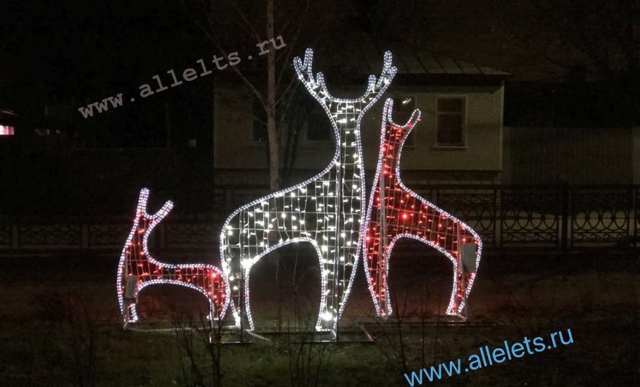 Олени, олени, кругом одни олени… В Ельце!