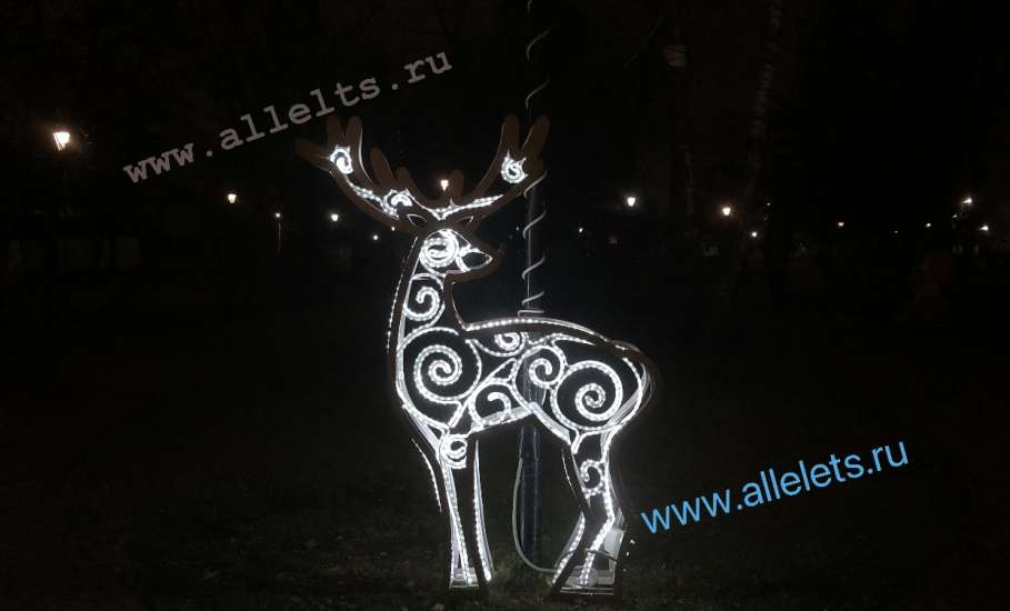 Олени, олени, кругом одни олени… В Ельце!