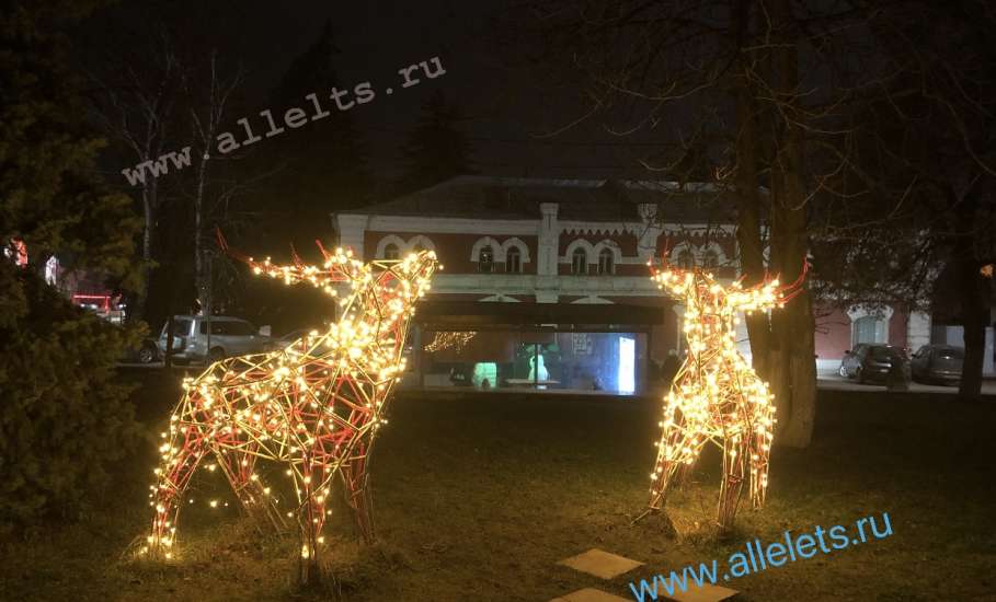 Олени, олени, кругом одни олени… В Ельце!