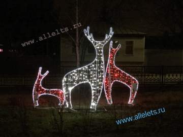 Олени, олени, кругом одни олени… В Ельце!