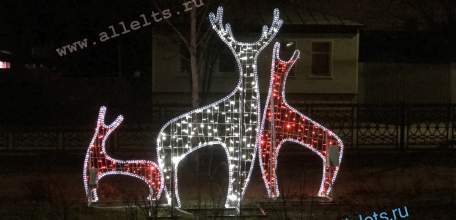 Олени, олени, кругом одни олени… В Ельце!