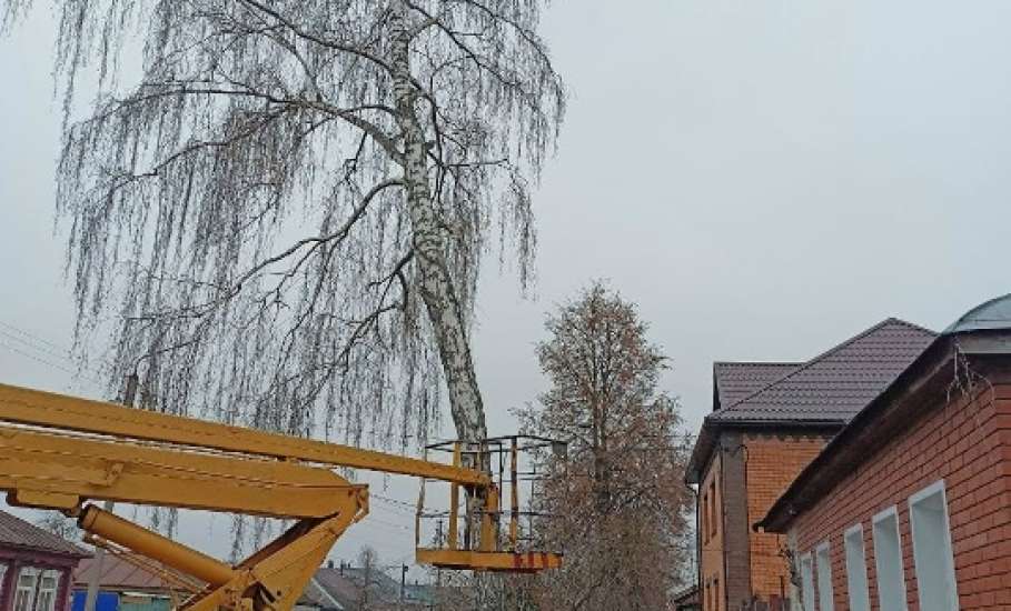 В Ельце проведена механизированная и ручная уборка мусора на Аргамаченском кладбище и на Ольшанском кладбище