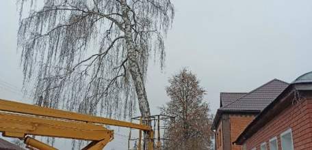 В Ельце проведена механизированная и ручная уборка мусора на Аргамаченском кладбище и на Ольшанском кладбище