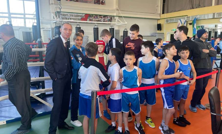 С 25 по 29 ноября 2025 года во «Дворце самбо» в Елецком муниципальном округе прошёл турнир по боксу