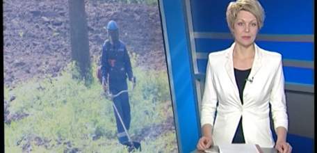 В Петровском парке продолжаются работы по благоустройству