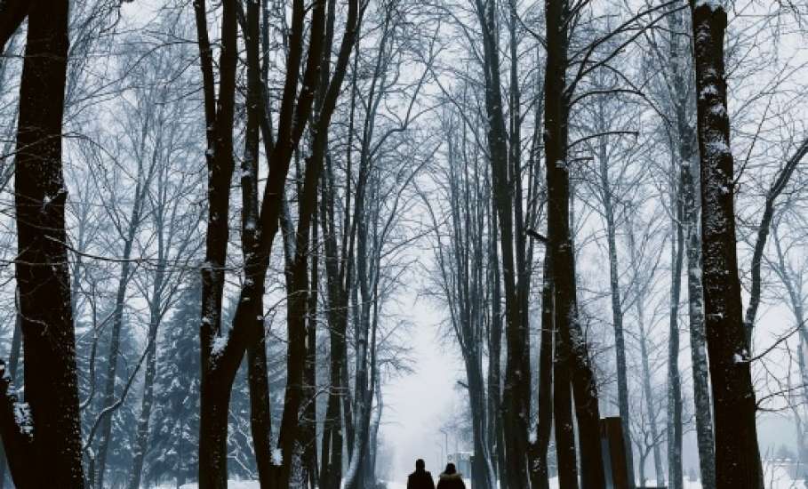 Снега не будет на Новый год в Липецке!