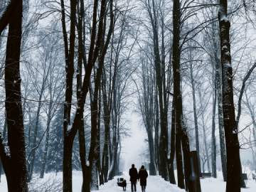 Снега не будет на Новый год в Липецке!