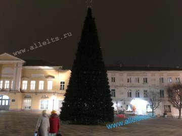 Вячеслав Жабин: «Елец – новогодняя столица нашего региона!»