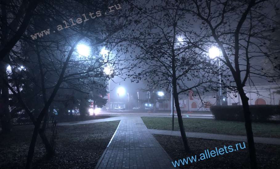 В течение суток в Ельце ожидается туман