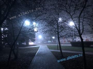 В течение суток в Ельце ожидается туман