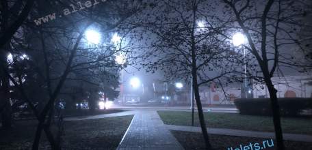 В течение суток в Ельце ожидается туман