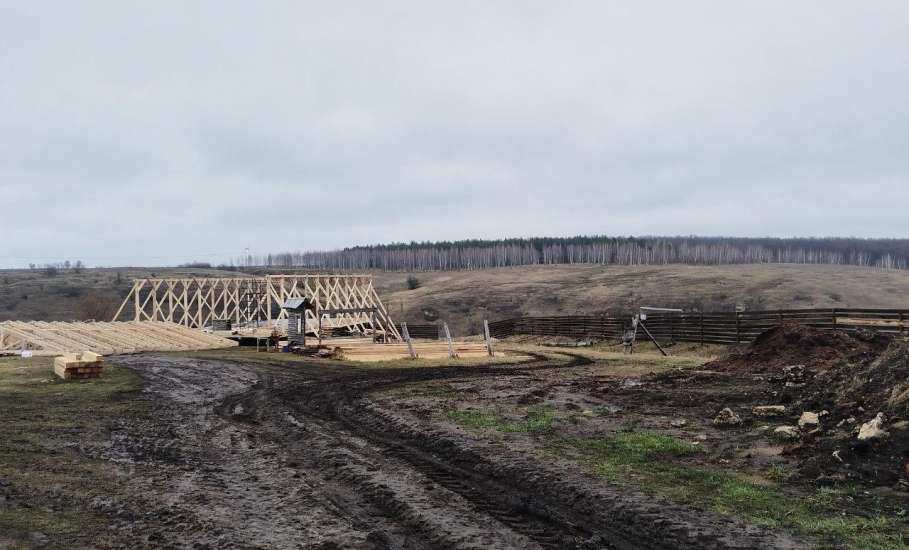 Точка роста на М-4: новый кемпинг в Елецком районе снизит дефицит мест для автодомов и палаточного отдыха