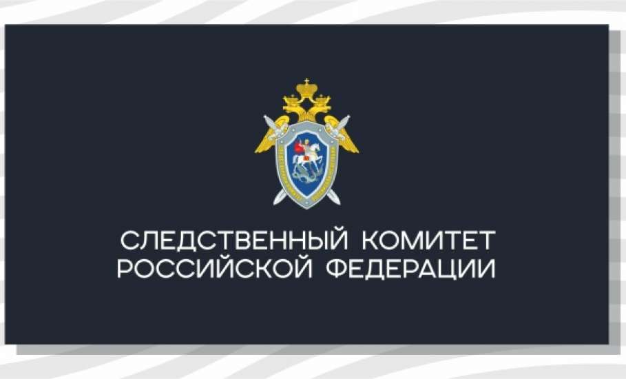 В Липецкой области началась проверка по факту падения 10-летней девочки с лошади в одном из городских парков областного центра