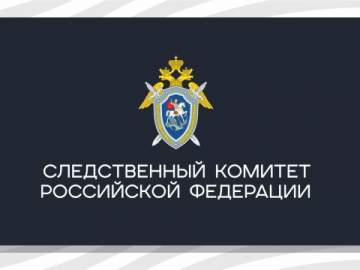 В Липецкой области началась проверка по факту падения 10-летней девочки с лошади в одном из городских парков областного центра