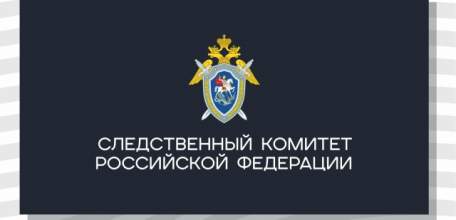 В Липецкой области началась проверка по факту падения 10-летней девочки с лошади в одном из городских парков областного центра