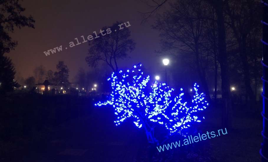 Почему в вечернее время освещения практически нет в Детском парке?