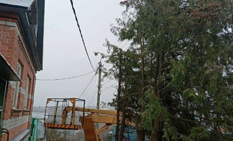 В Ельце практически каждый день спиливают деревья