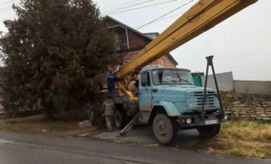 В Ельце практически каждый день спиливают деревья