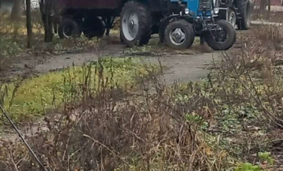 В Ельце практически каждый день спиливают деревья