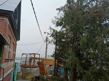 В Ельце практически каждый день спиливают деревья