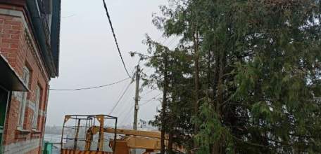 В Ельце практически каждый день спиливают деревья