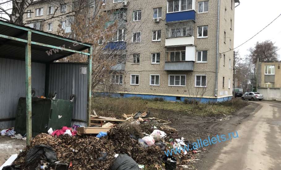 Мусор не убирают неделю в Ельце на контейнерной площадке!