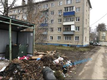 Мусор не убирают неделю в Ельце на контейнерной площадке!