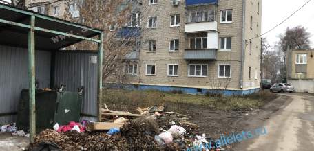 Мусор не убирают неделю в Ельце на контейнерной площадке!
