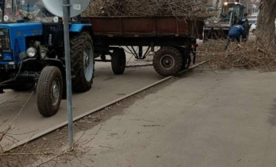В Ельце продолжают опиливать деревья. Появляются всё больше обрубков на улицах города