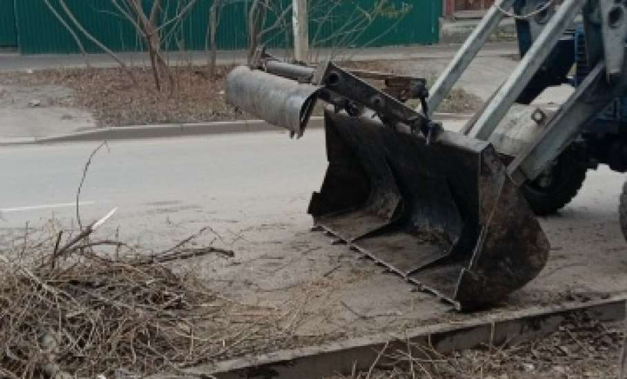 В Ельце продолжают опиливать деревья. Появляются всё больше обрубков на улицах города