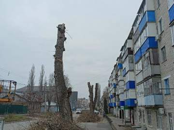 В Ельце продолжают опиливать деревья. Появляются всё больше обрубков на улицах города