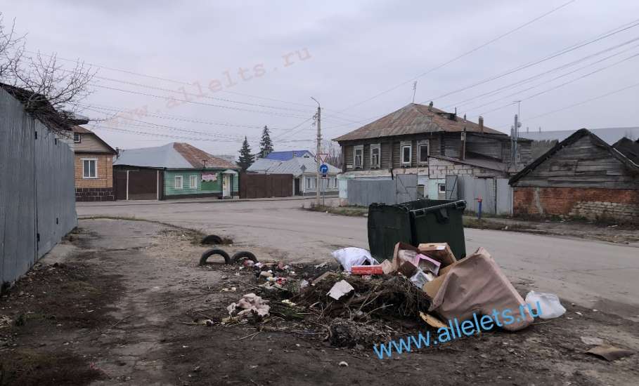 В ходе общественного экологического рейда сегодня выявлены новые очаги мусора в Ельце