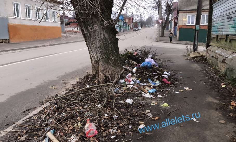 В ходе общественного экологического рейда сегодня выявлены новые очаги мусора в Ельце